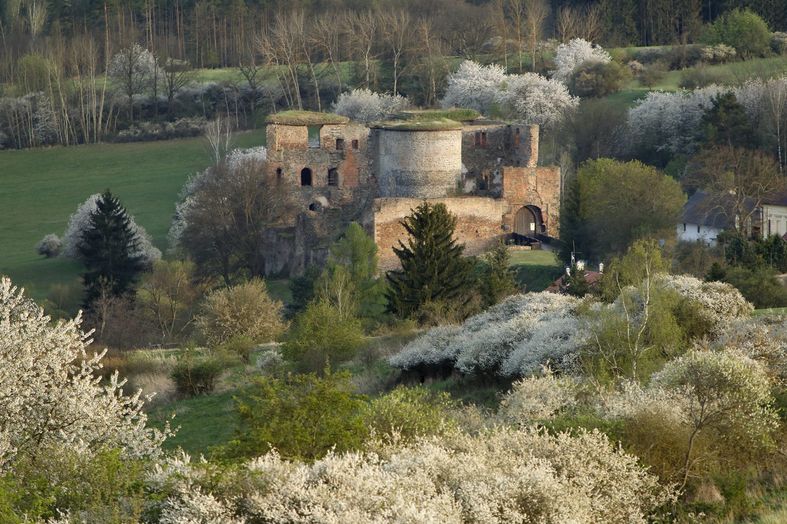Ruinen der Burg Krakovec